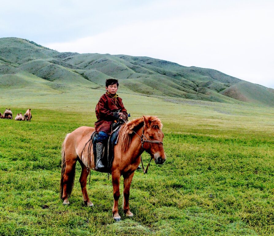 Symbolbild Mongolei. Ein Knabe sitzt auf einem Pferd in einer Steppenlandschaft.