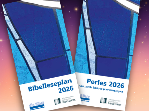 Bibelleseplan 2026 Schweizerische Bigelgesellschaft - Perles, le plan de lecture de la société biblique suisse 2026