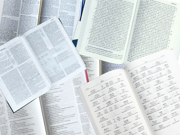 Welche Bibel passt zu dir?